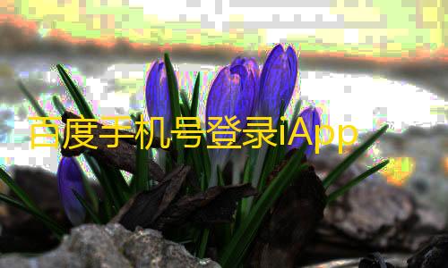 彩虹云节点购买百度手机号登录iApp源码V3